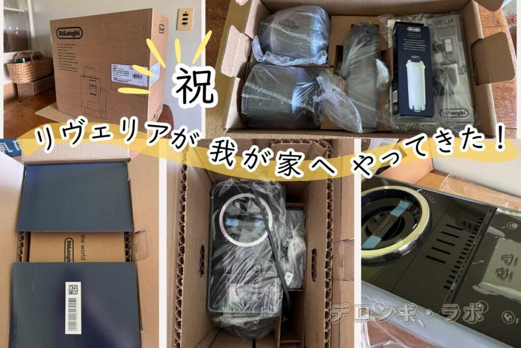 リヴェリア(EXAM44055G/BG)が我が家へやってきた。荷姿と開封の様子